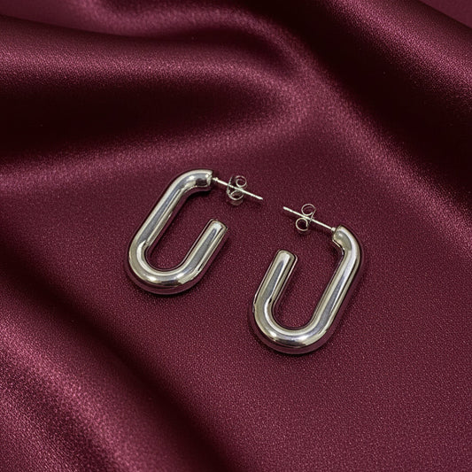 Arracadas Gancho Plateado