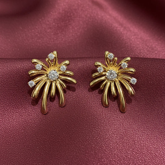 Aretes Fuegos Artificiales