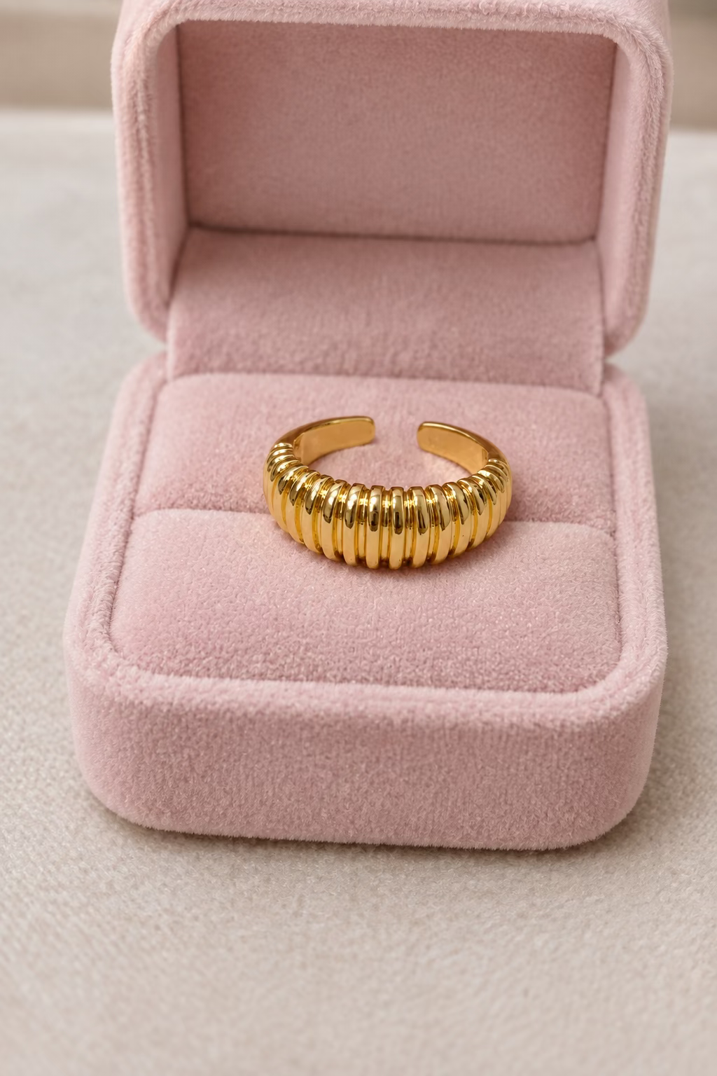 Anillo Líneas