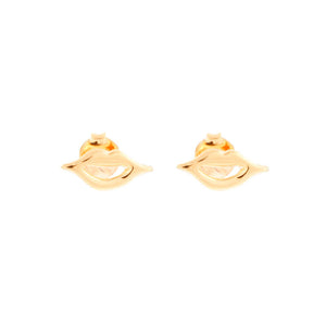 Studs Labios