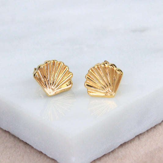 Studs Concha